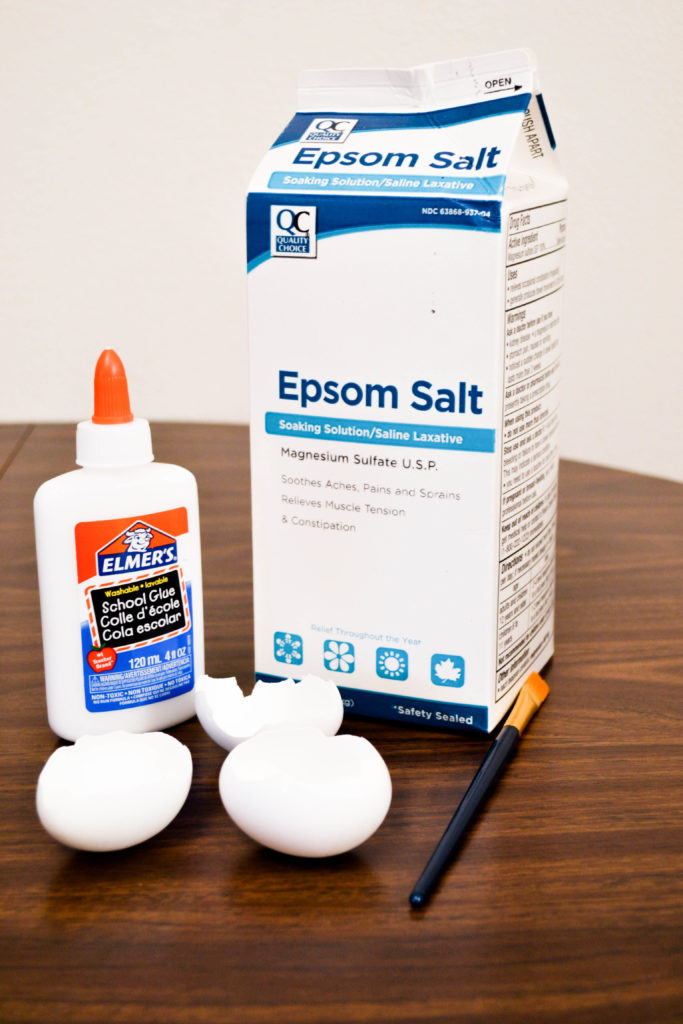 some of the supplies for making eggshell geodes: epsome salt, elmers glue, eggshells, and a paint brush pictured.
