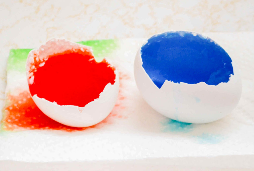 two eggshells with red and blue epsom salt solution sitting inside.