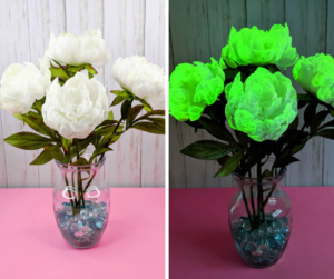 A split picture showing the same silk flowers in dark and light. The dark side glows in the dark.