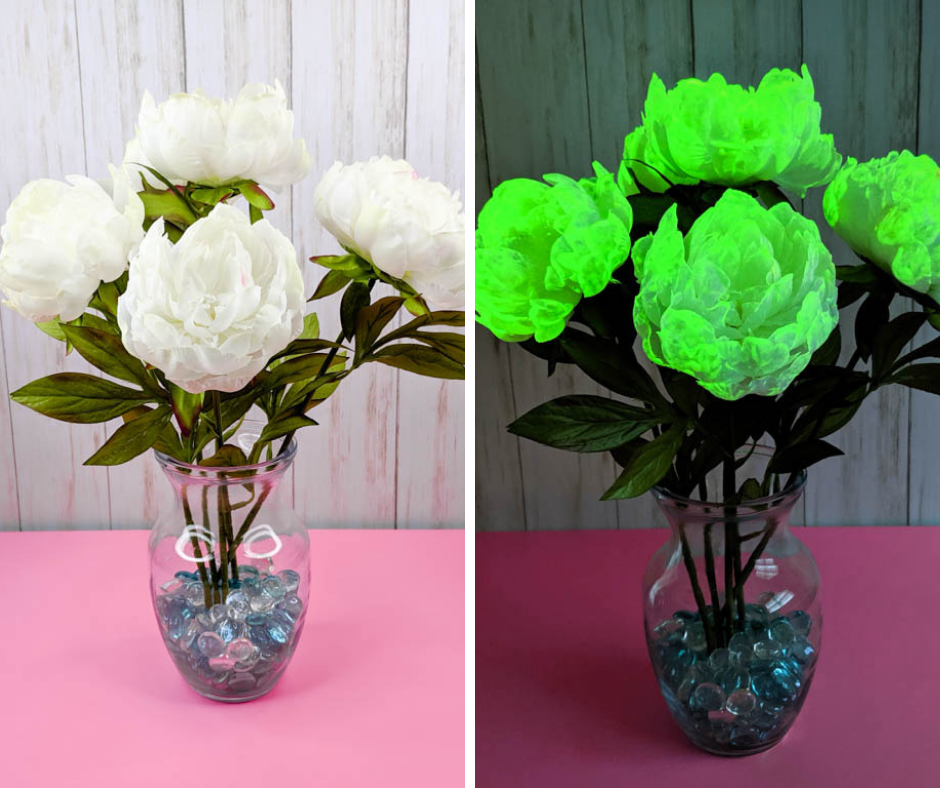 side by side images of the same flowers in a vase. one photo is taken in light, the other in dark. the flowers glow in the dark.